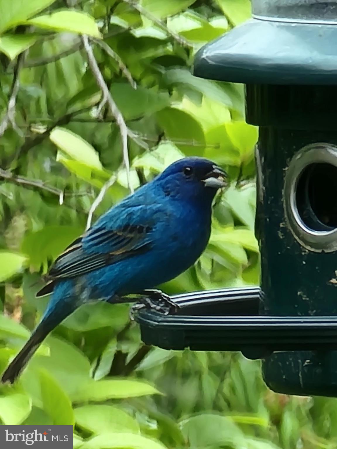 DANCE MILL - Residential