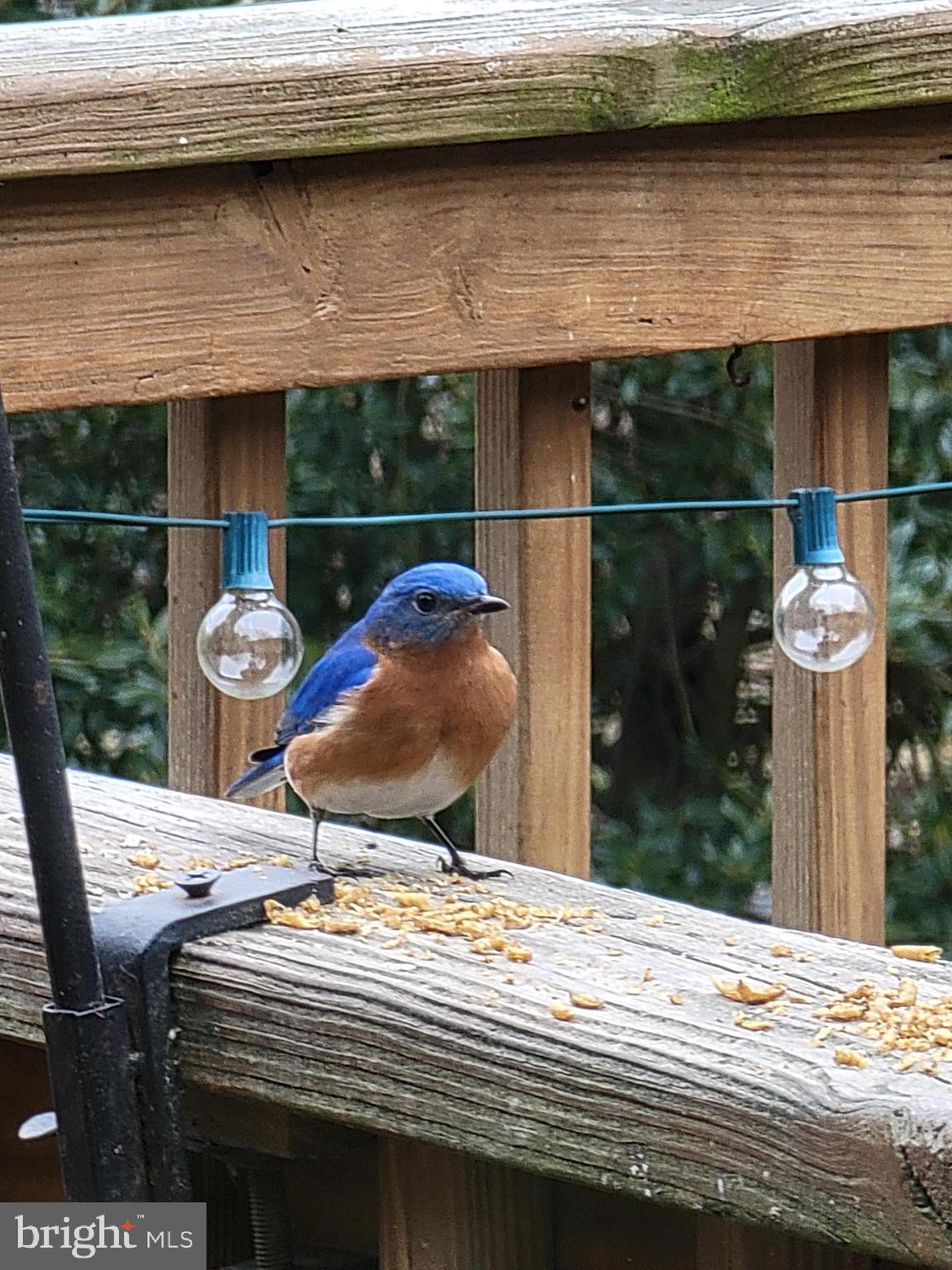 DANCE MILL - Residential