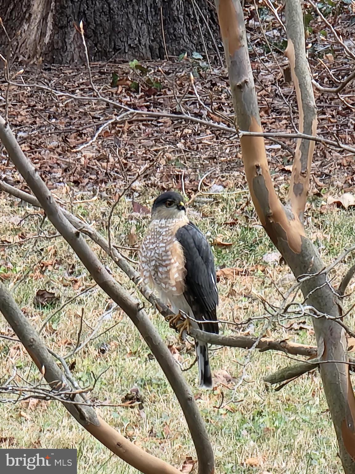 DANCE MILL - Residential