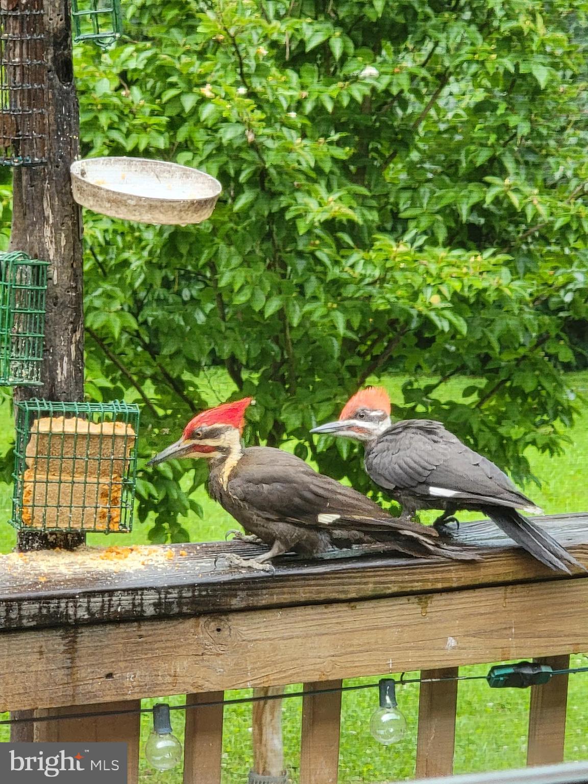 DANCE MILL - Residential