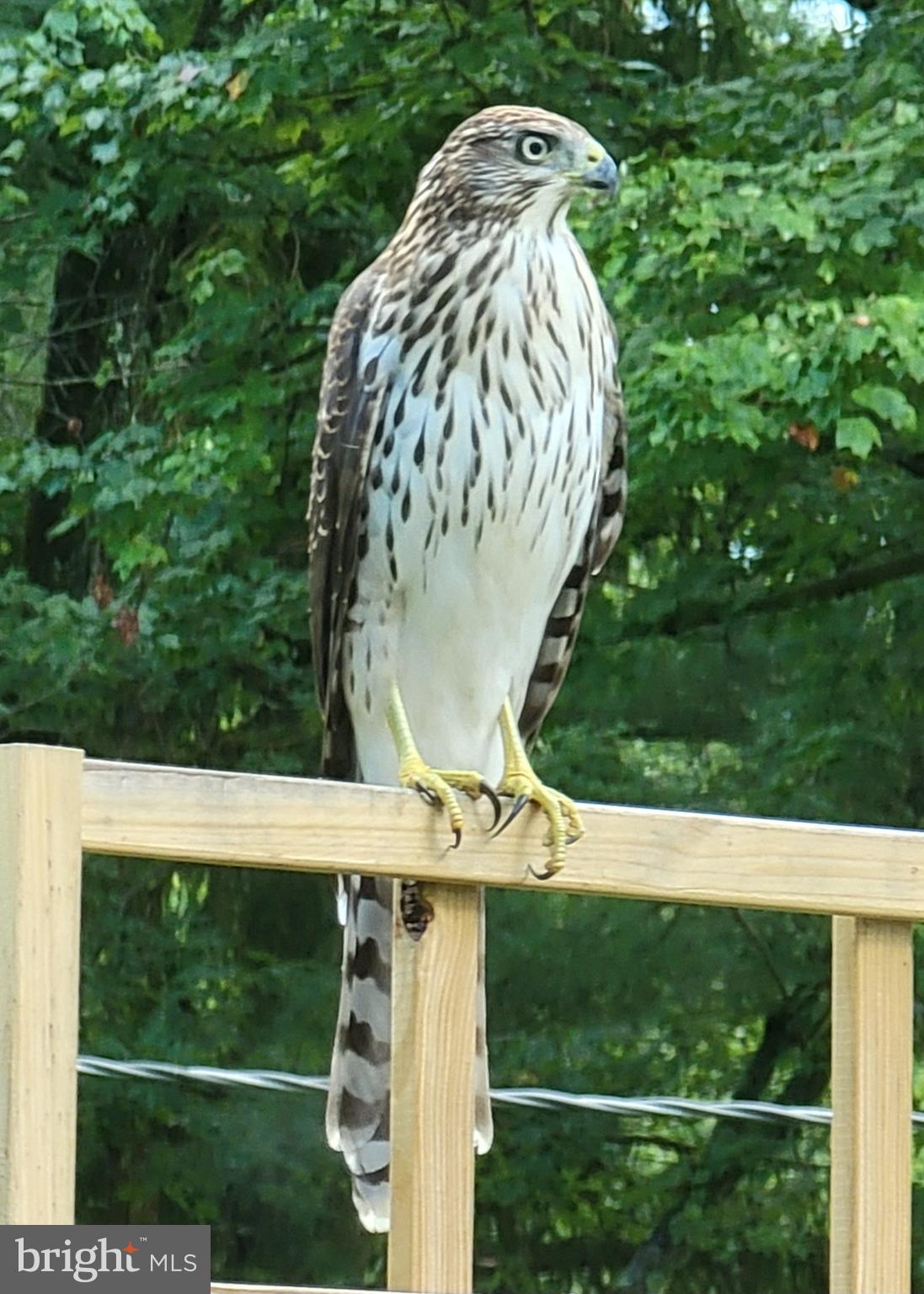 DANCE MILL - Residential