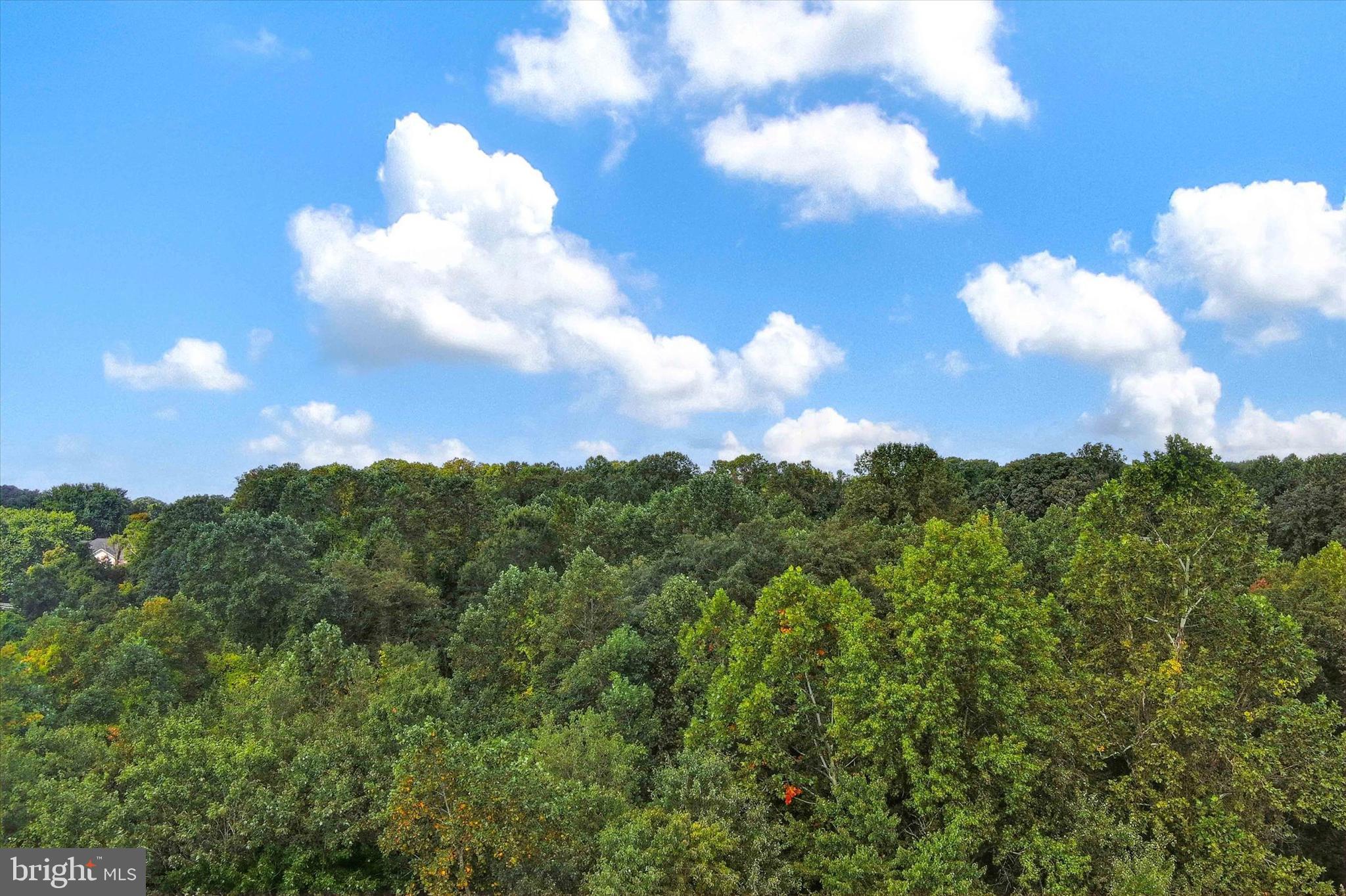 ENCLAVE AT PERRY HALL - Residential