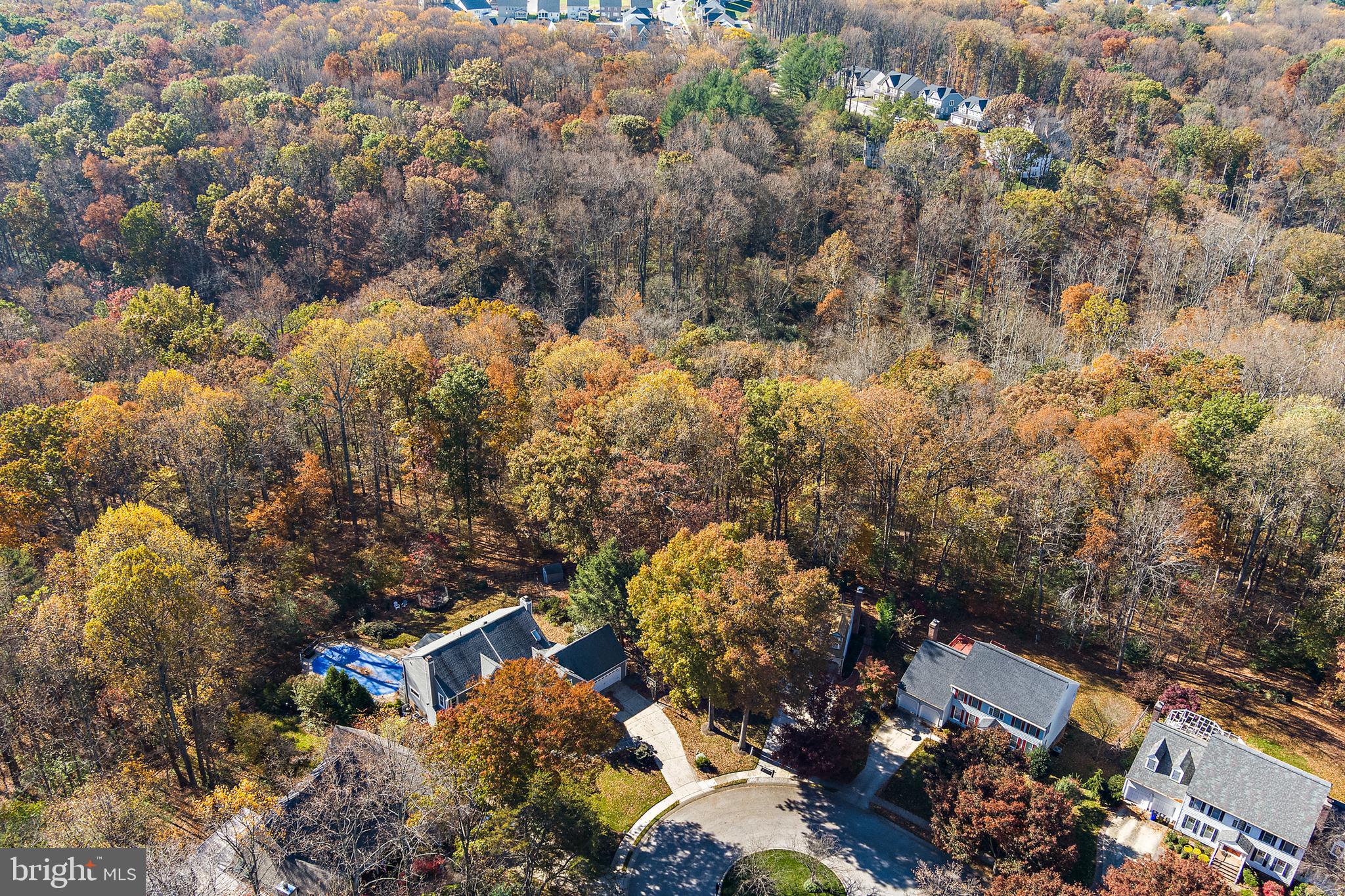 CLARY'S FOREST - Residential