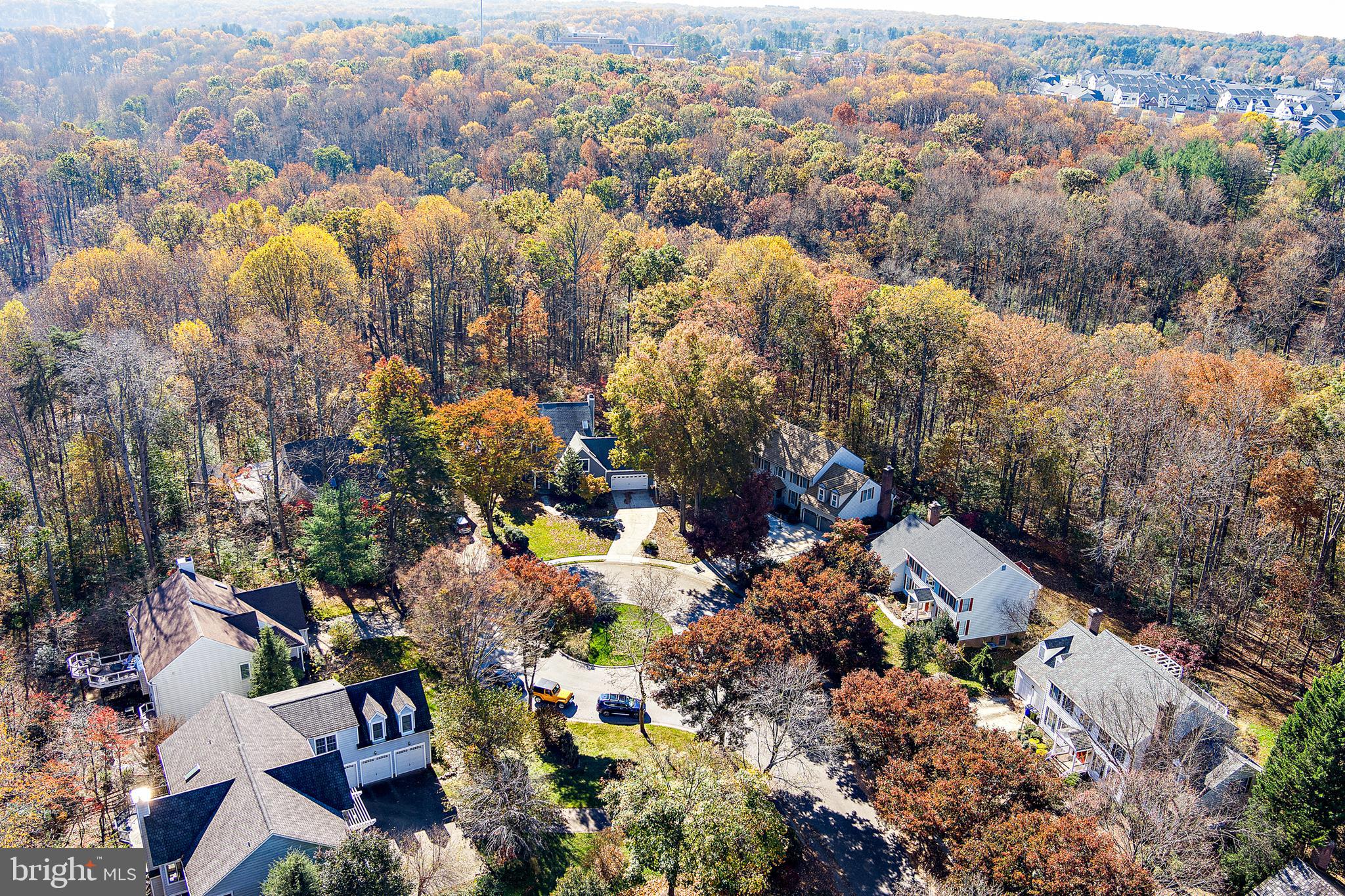 CLARY'S FOREST - Residential