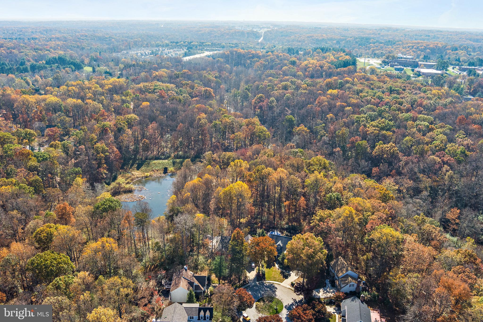 CLARY'S FOREST - Residential