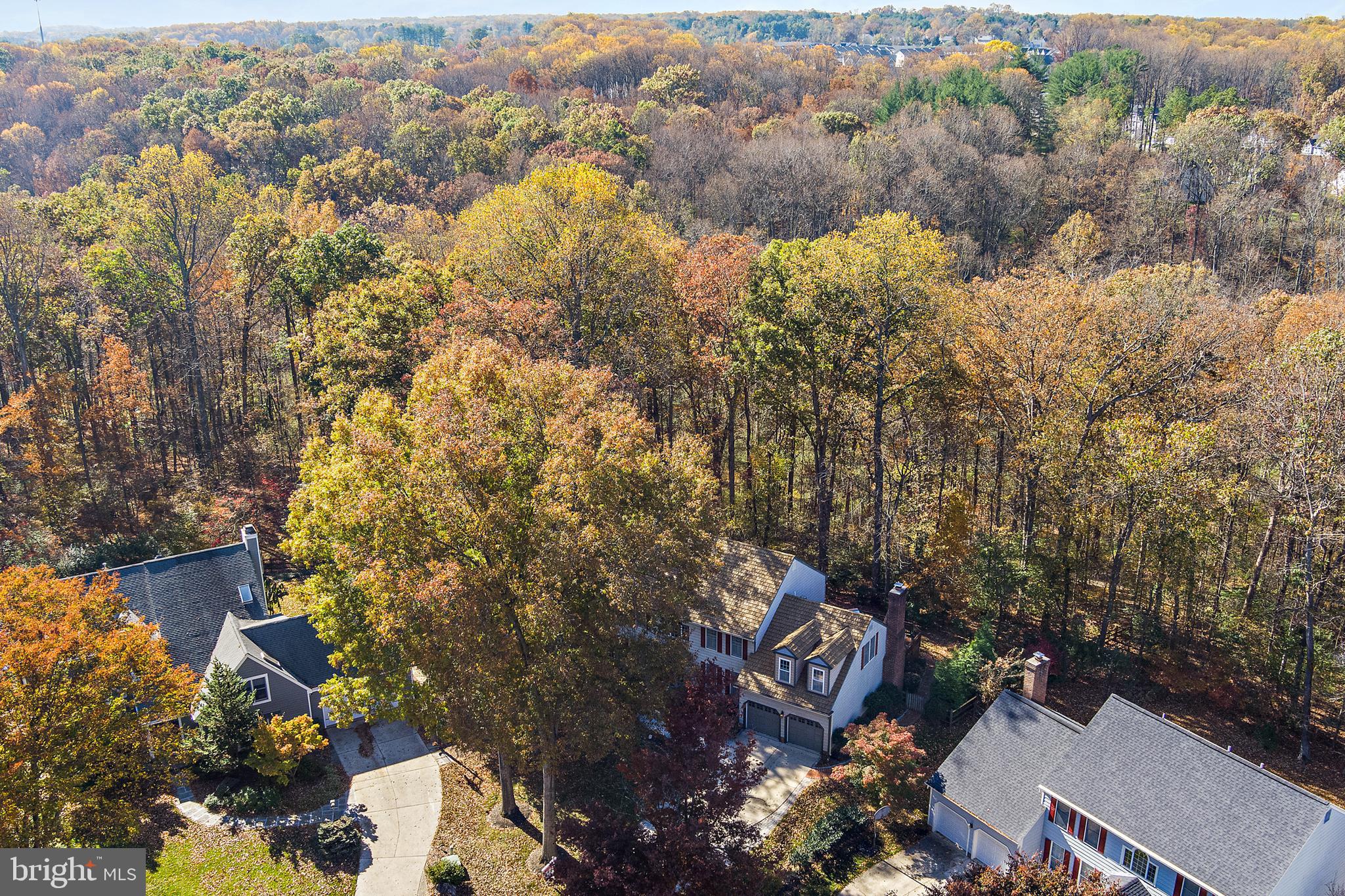 CLARY'S FOREST - Residential