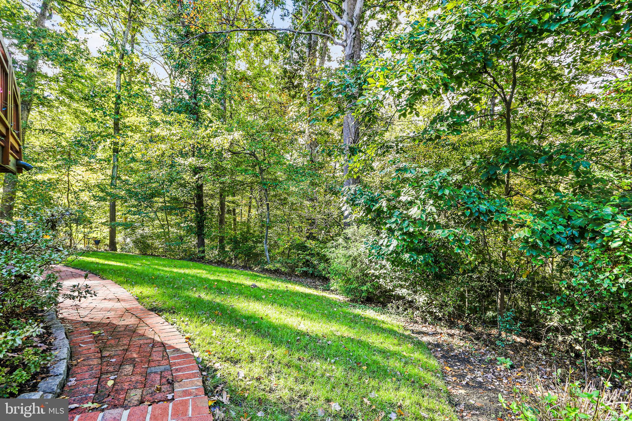 CLARY'S FOREST - Residential