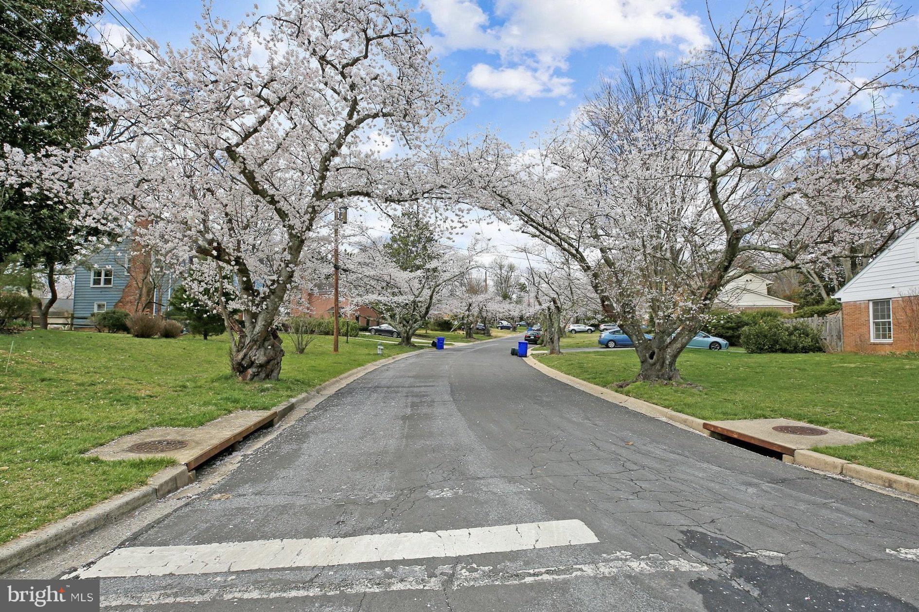 OLD FARM - Residential