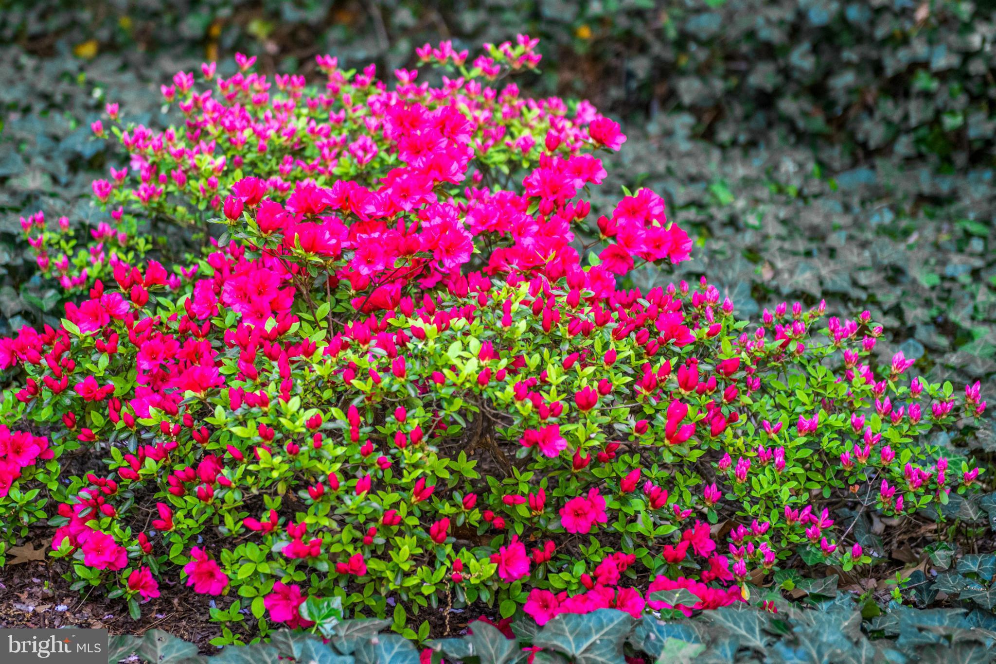 MADISON PARK CONDOMINIUMS - Residential