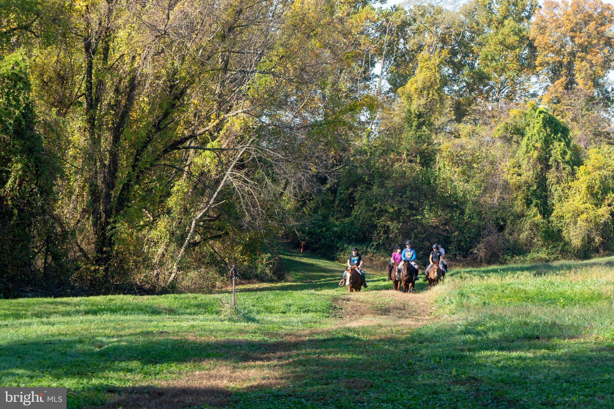 EARLEVILLE - Residential