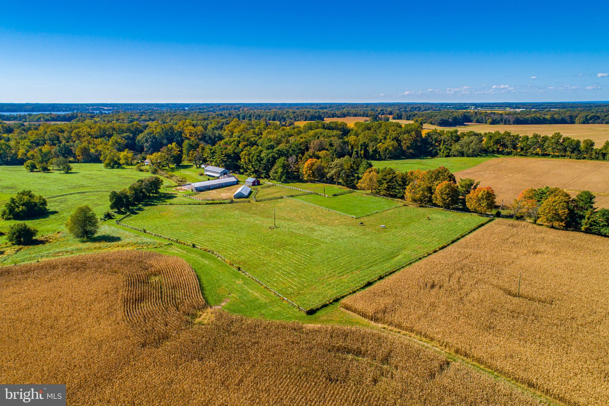 EARLEVILLE - Residential