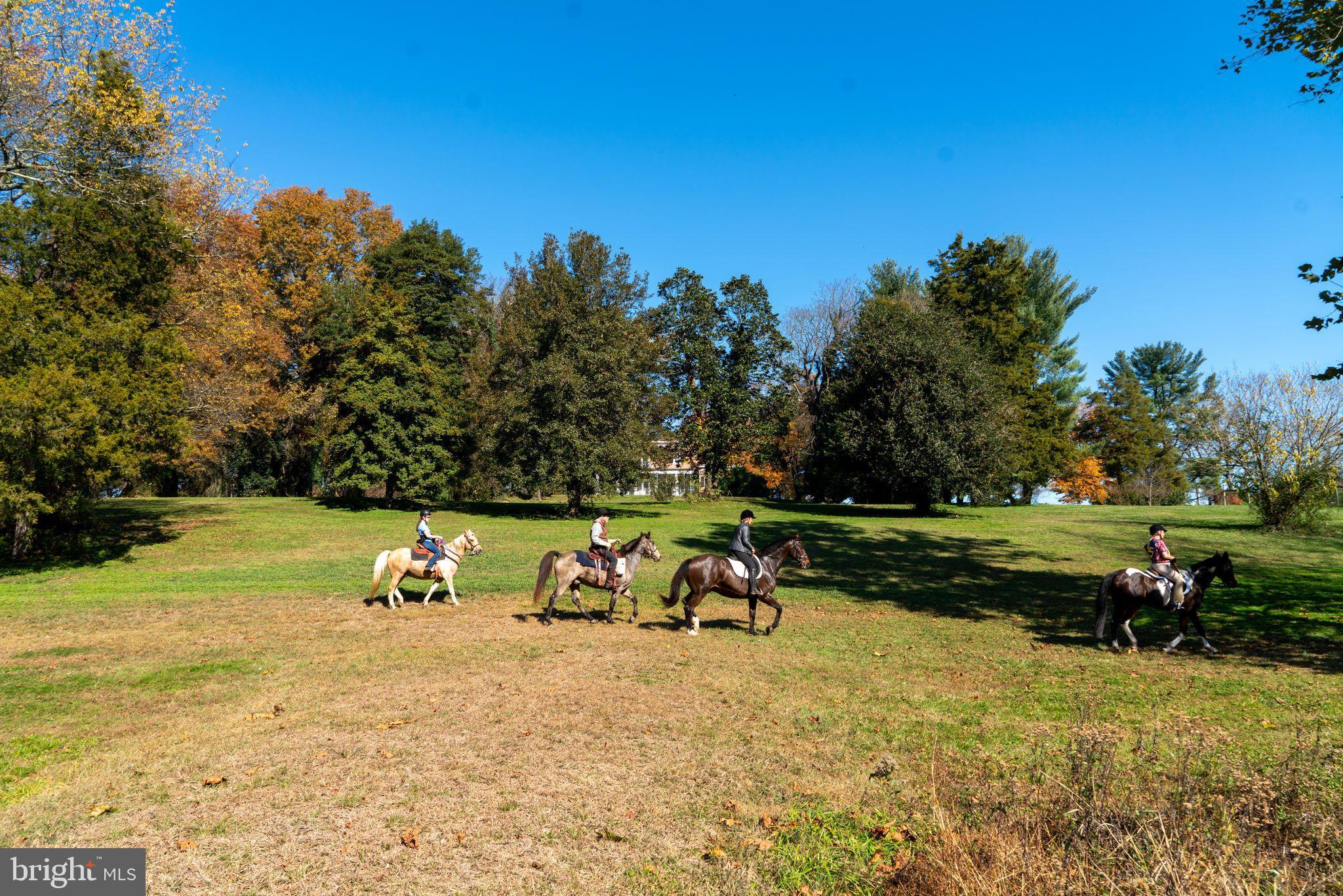 EARLEVILLE - Residential