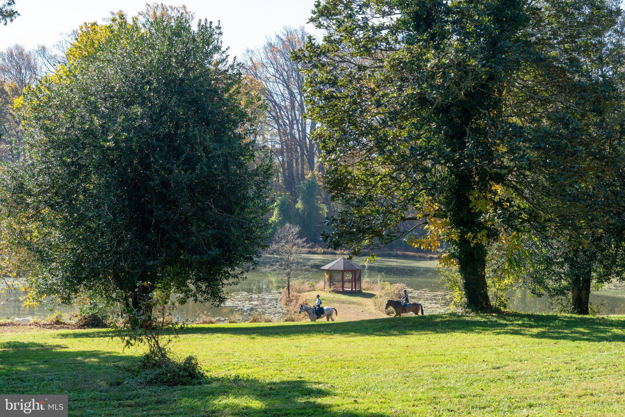 EARLEVILLE - Residential