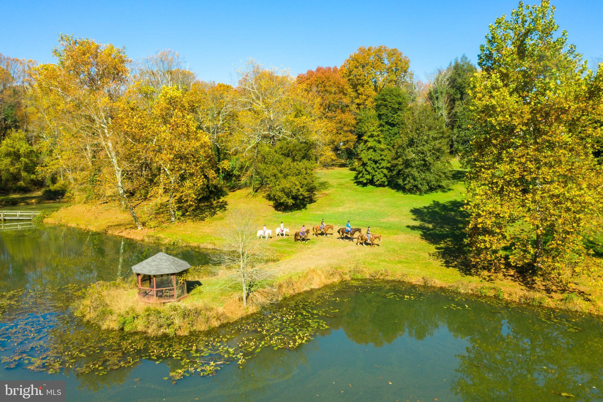 EARLEVILLE - Residential