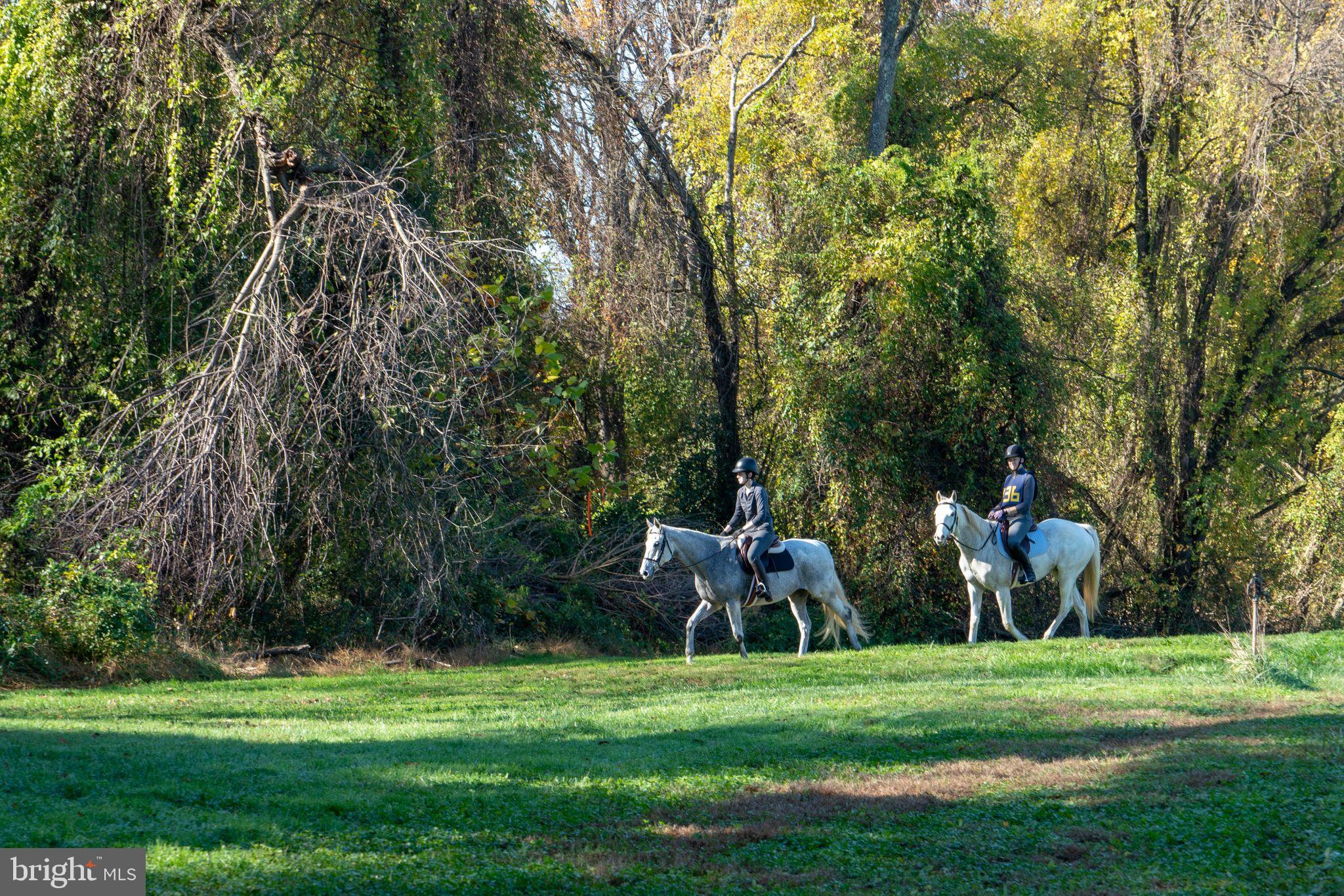 EARLEVILLE - Residential