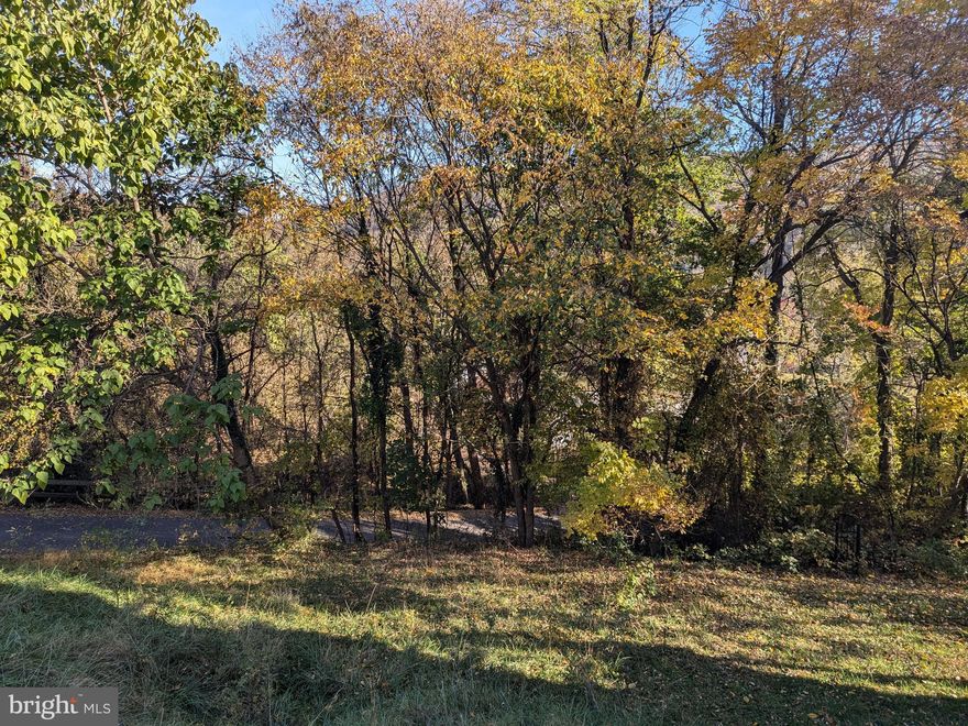 Great Corner Building Lot. Can be Duplex or Single Family Residence. Currently on a street of upscale duplex properties overlooking everything Harpers Ferry has to offer at the National Park, Shenandoah, and Potomac Rivers.  Just over the MD Line and great as a commuter location.  This homesite is suitable for a builder/developer to do an over under duplex with dual street access or side by side duplex with Mercer St. Access.  There is a slope in the center of the lot that lends itself to the over-under scenario.  If single family, you may end  up with two lower levels with porches for views.