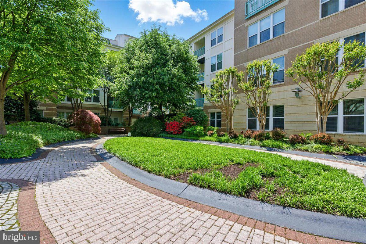 SAVOY AT RESTON TOWN CENTER - Residential