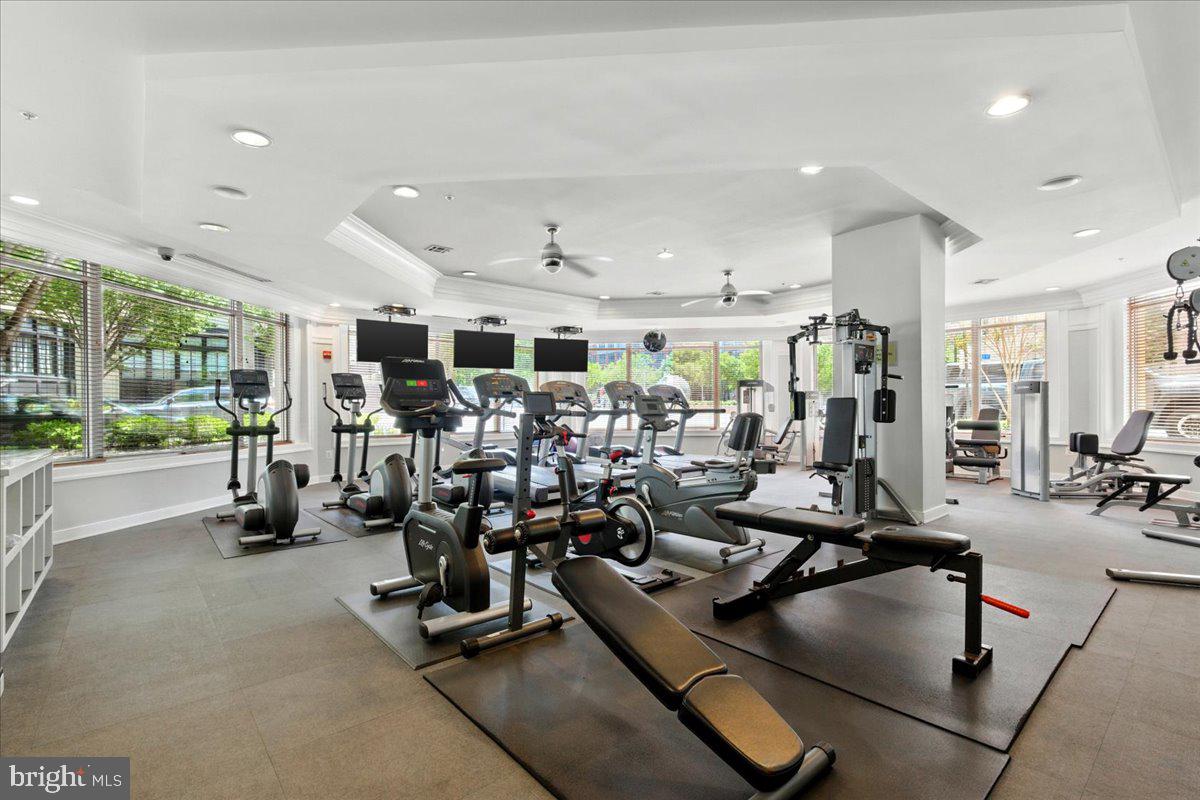 SAVOY AT RESTON TOWN CENTER - Residential