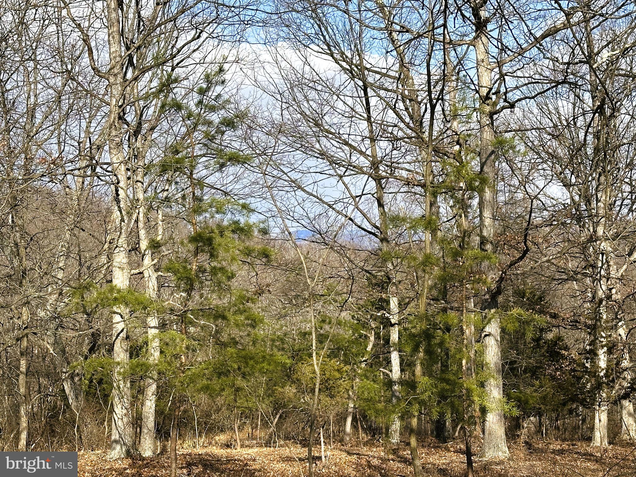 BLUFFS ON THE POTOMAC - Land