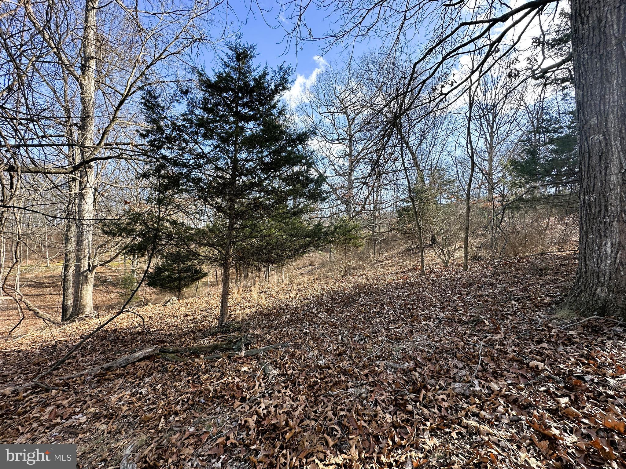 BLUFFS ON THE POTOMAC - Land
