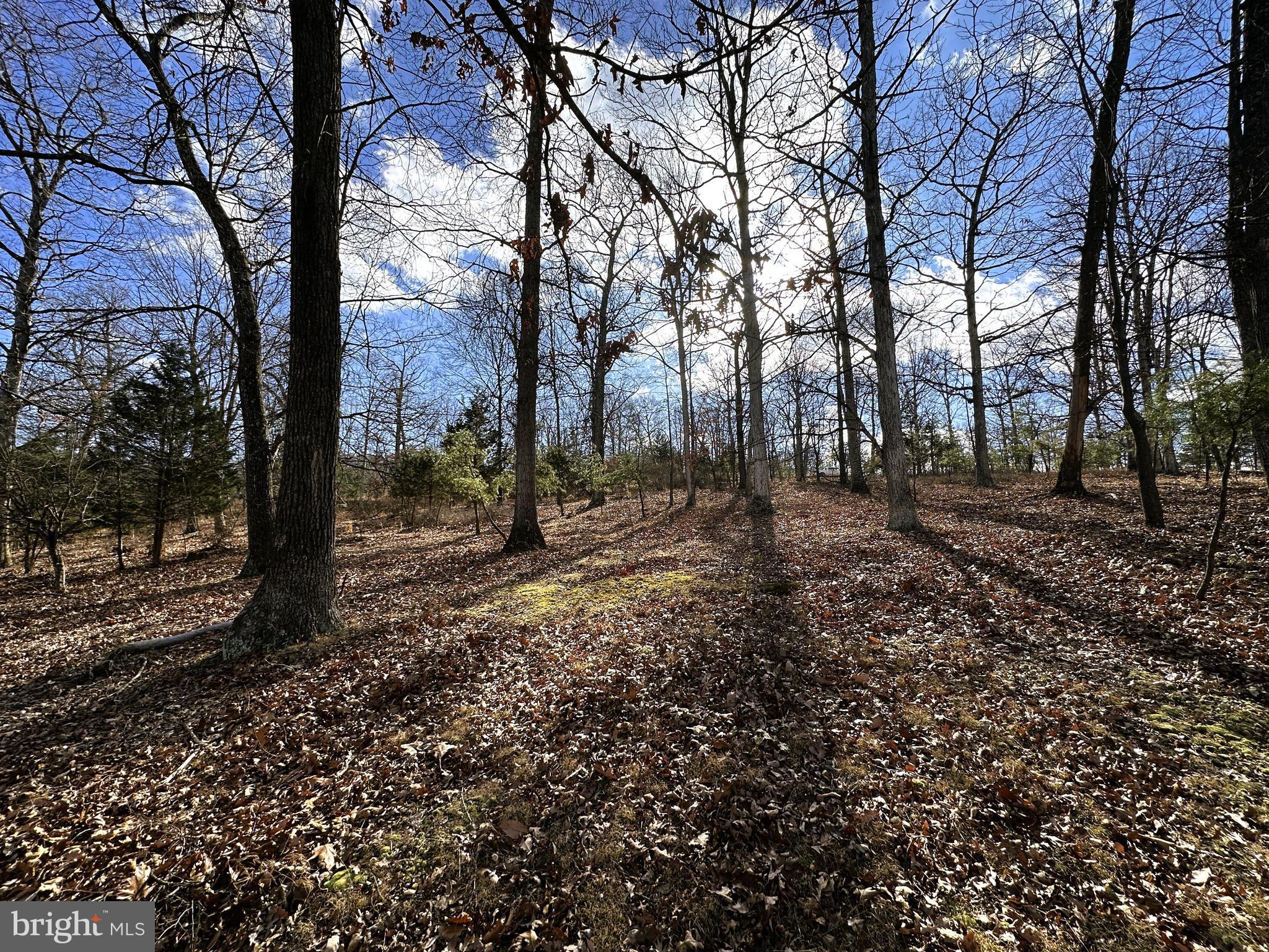 BLUFFS ON THE POTOMAC - Land