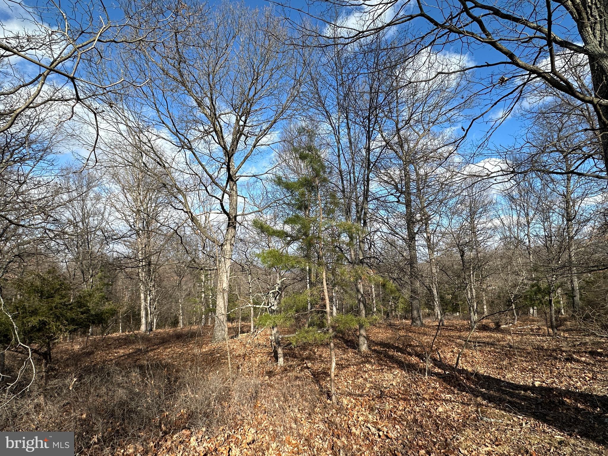 BLUFFS ON THE POTOMAC - Land