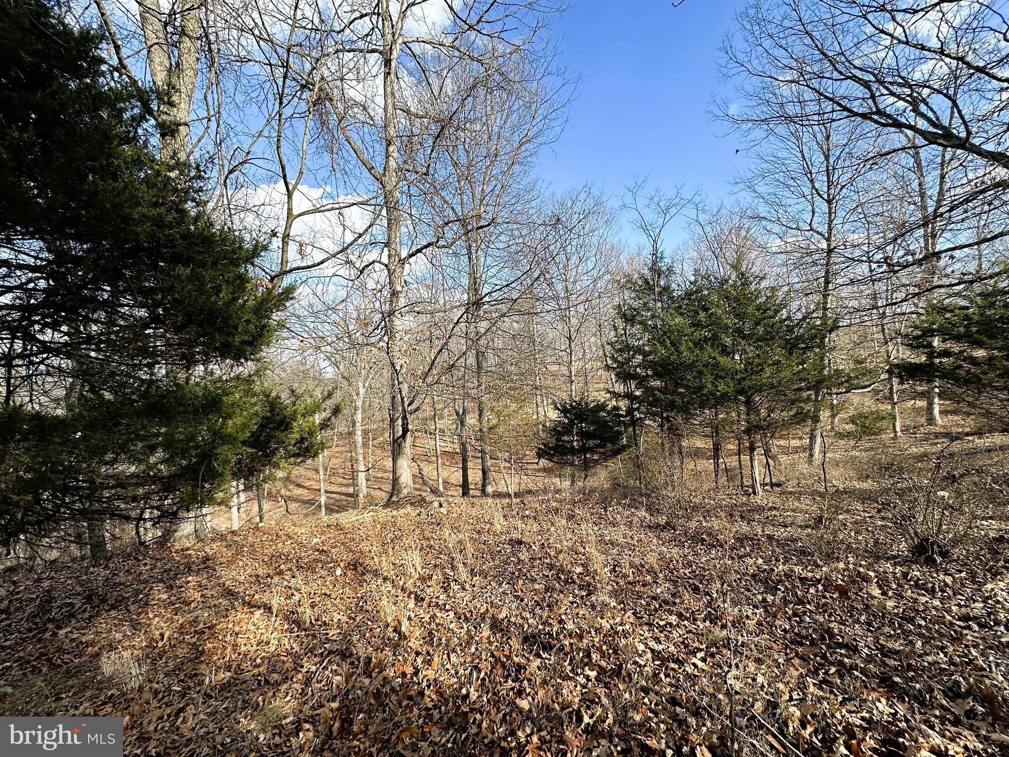 BLUFFS ON THE POTOMAC - Land