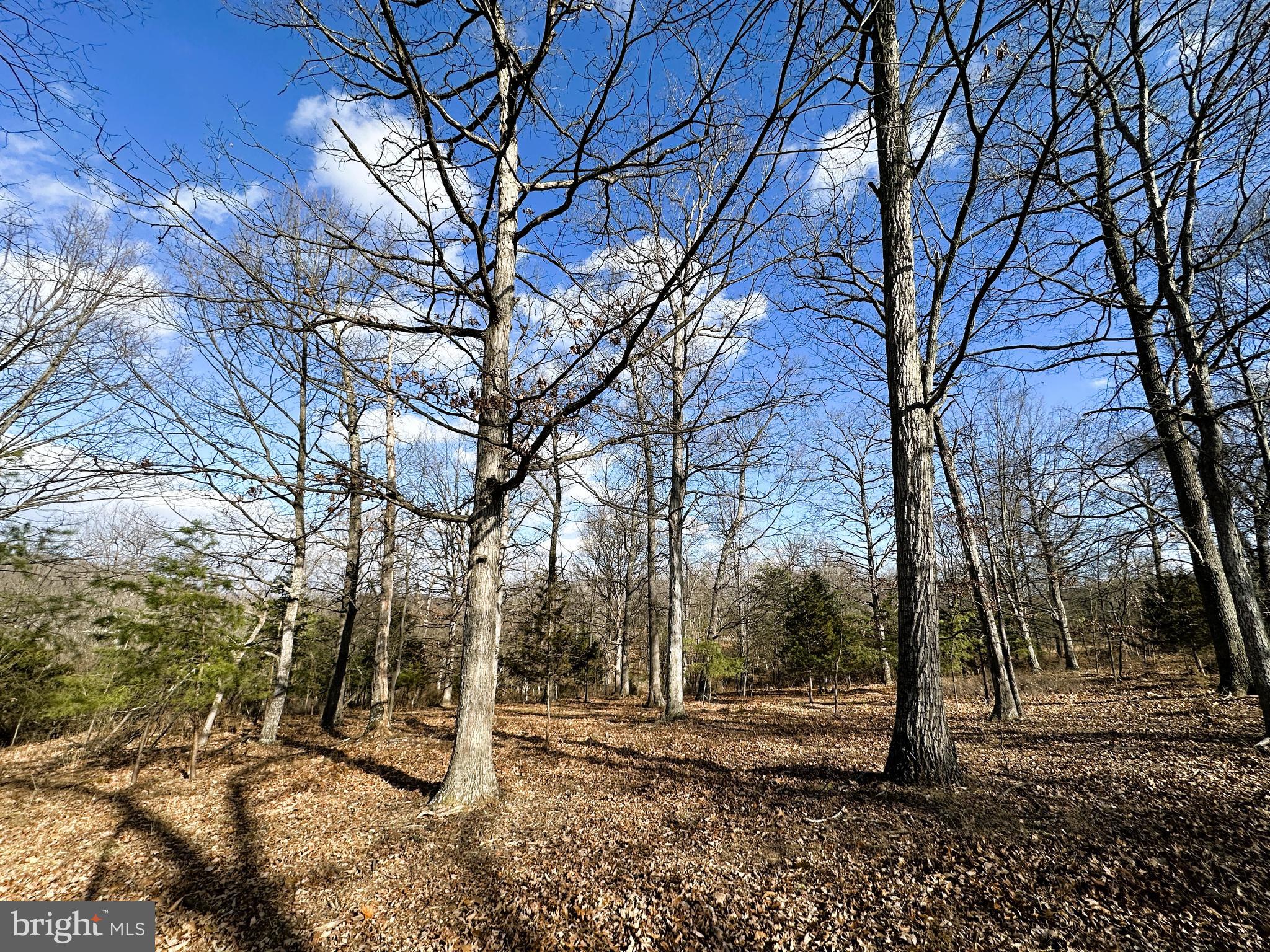 BLUFFS ON THE POTOMAC - Land