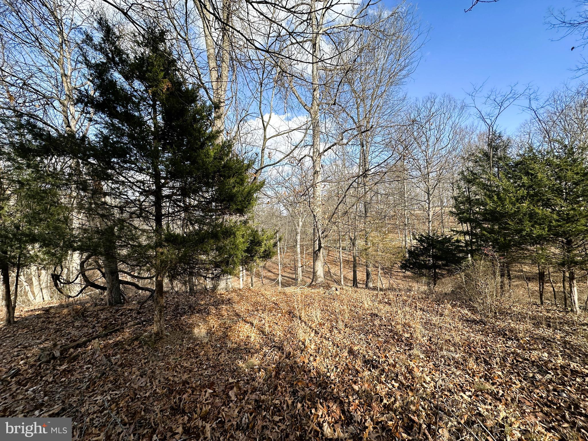 BLUFFS ON THE POTOMAC - Land