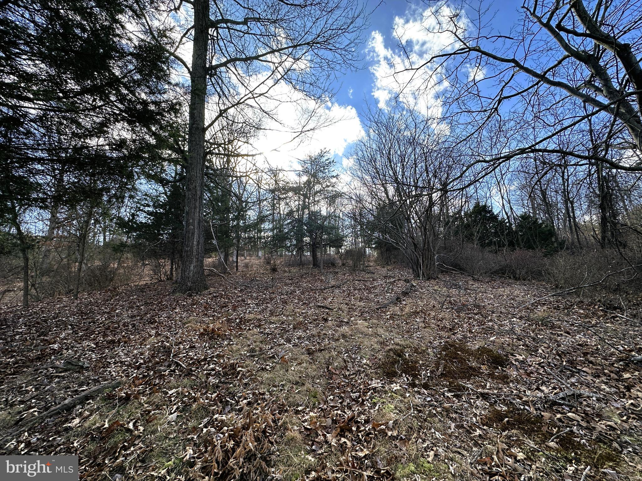 BLUFFS ON THE POTOMAC - Land