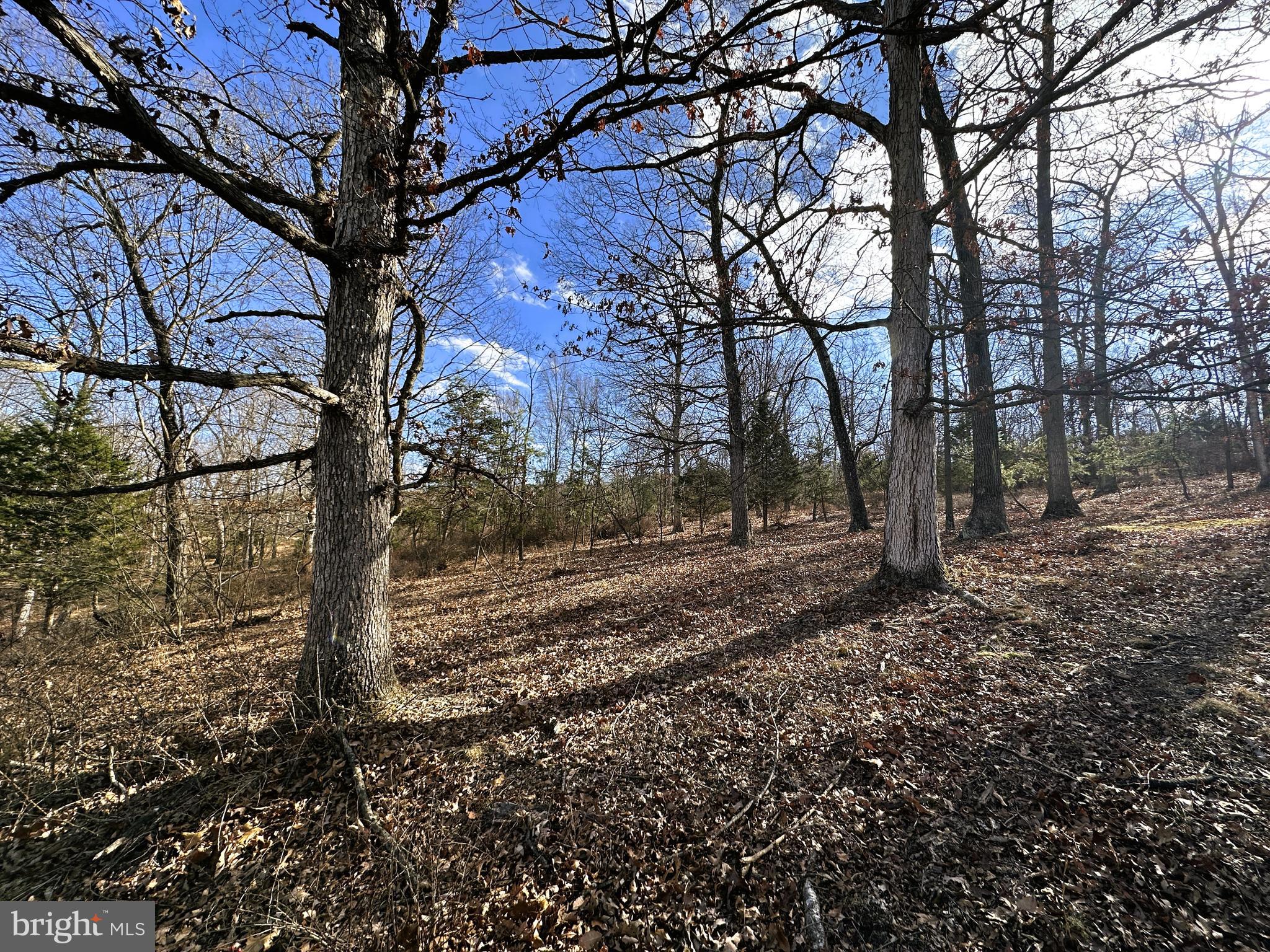BLUFFS ON THE POTOMAC - Land