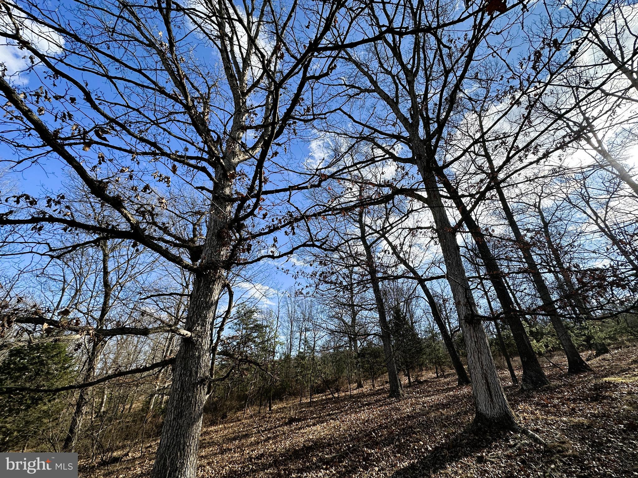 BLUFFS ON THE POTOMAC - Land