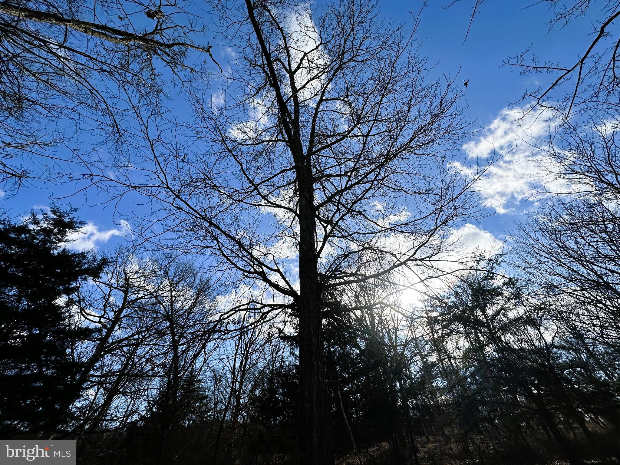 BLUFFS ON THE POTOMAC - Land