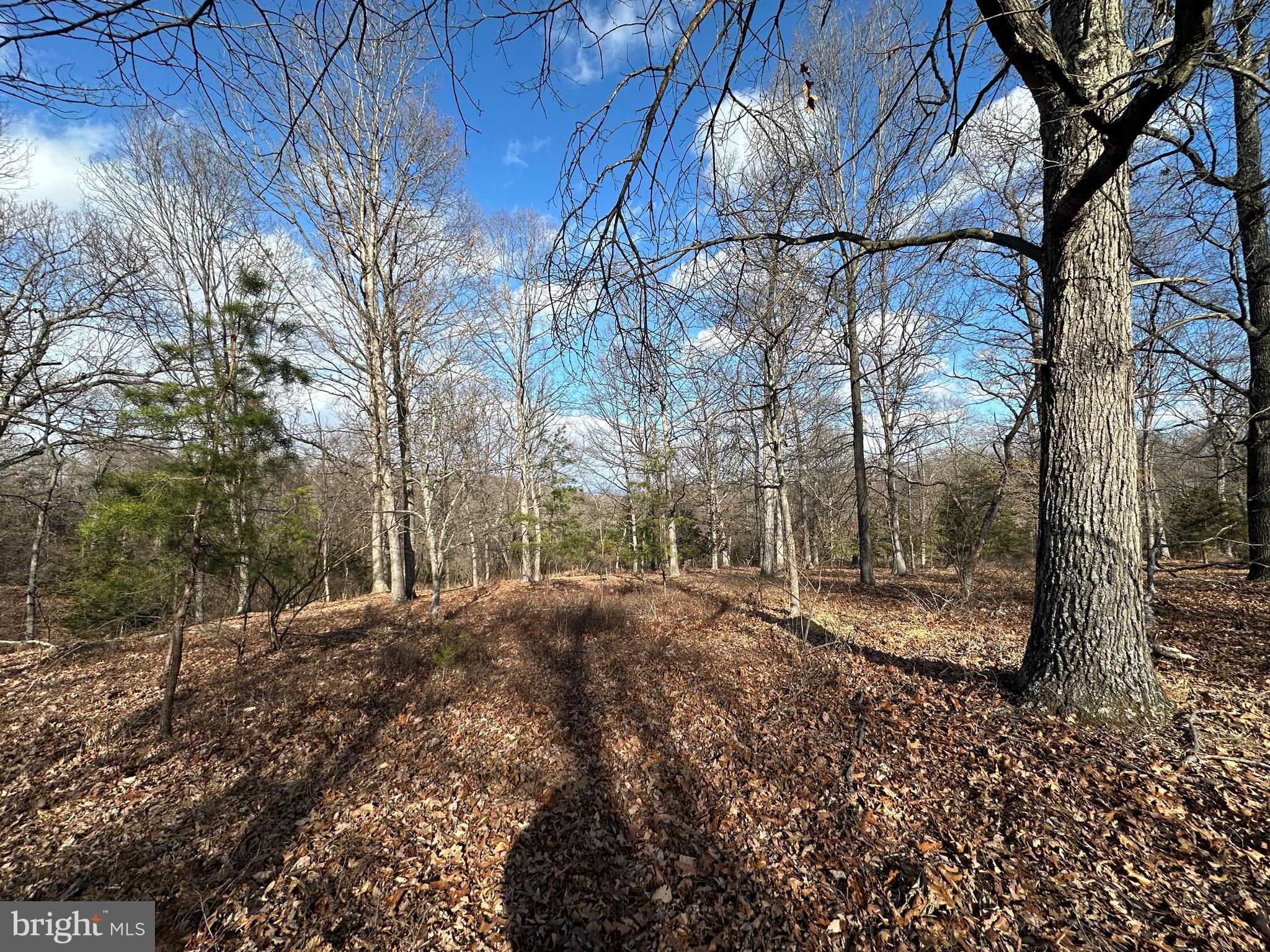 BLUFFS ON THE POTOMAC - Land