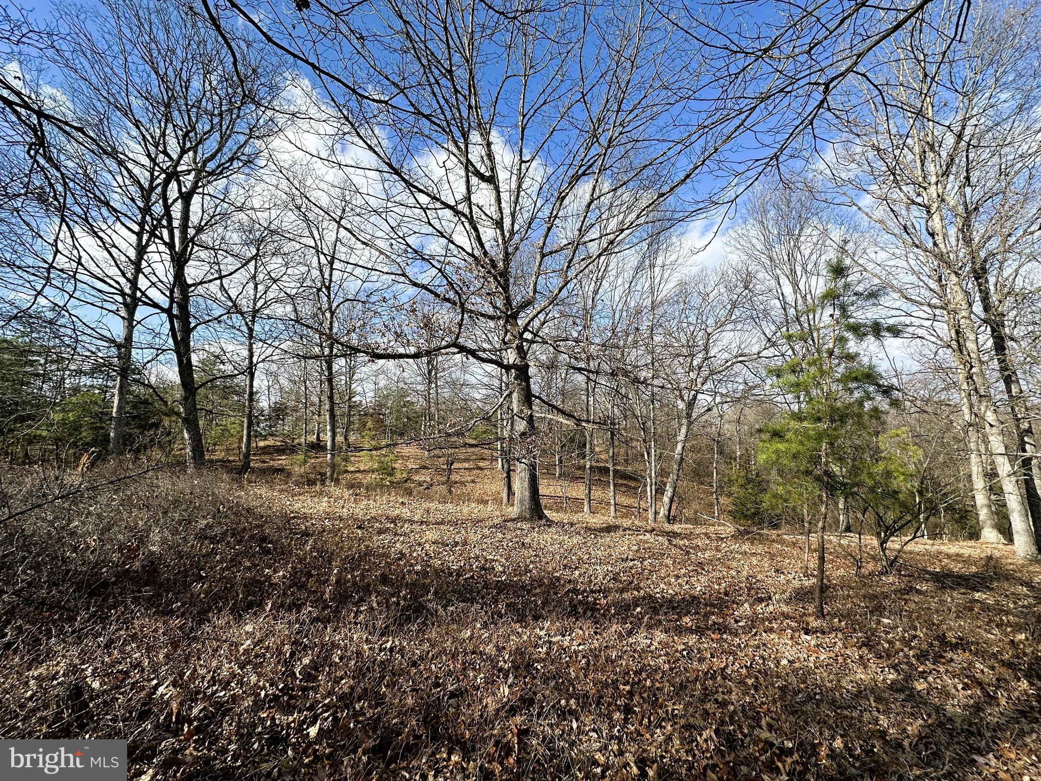 BLUFFS ON THE POTOMAC - Land