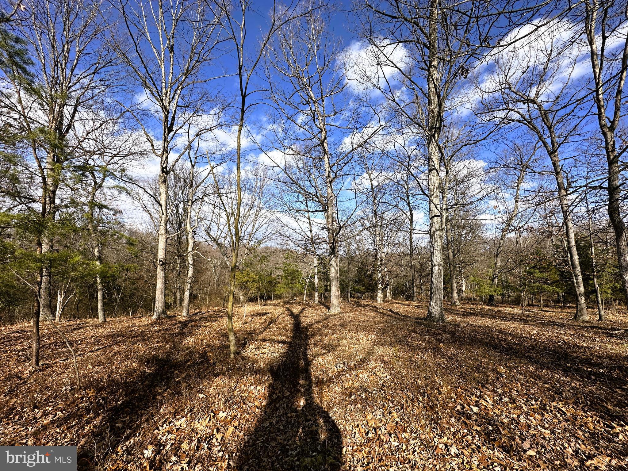 BLUFFS ON THE POTOMAC - Land