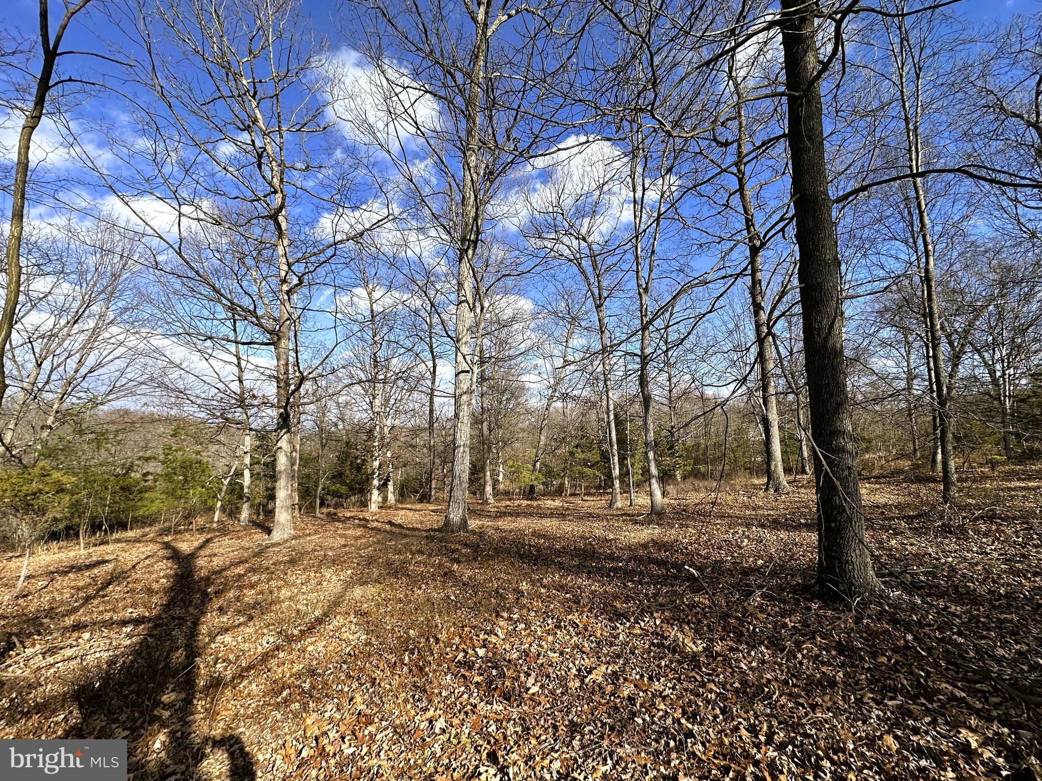 BLUFFS ON THE POTOMAC - Land