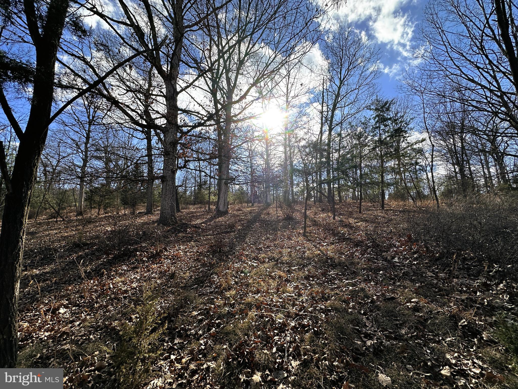 BLUFFS ON THE POTOMAC - Land
