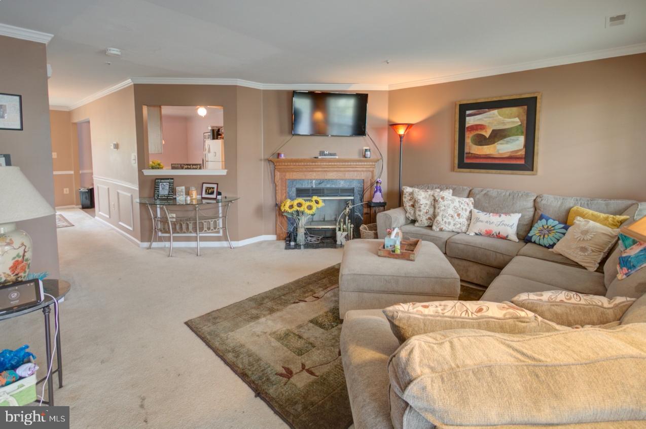 ACTON VILLAGE - Residential