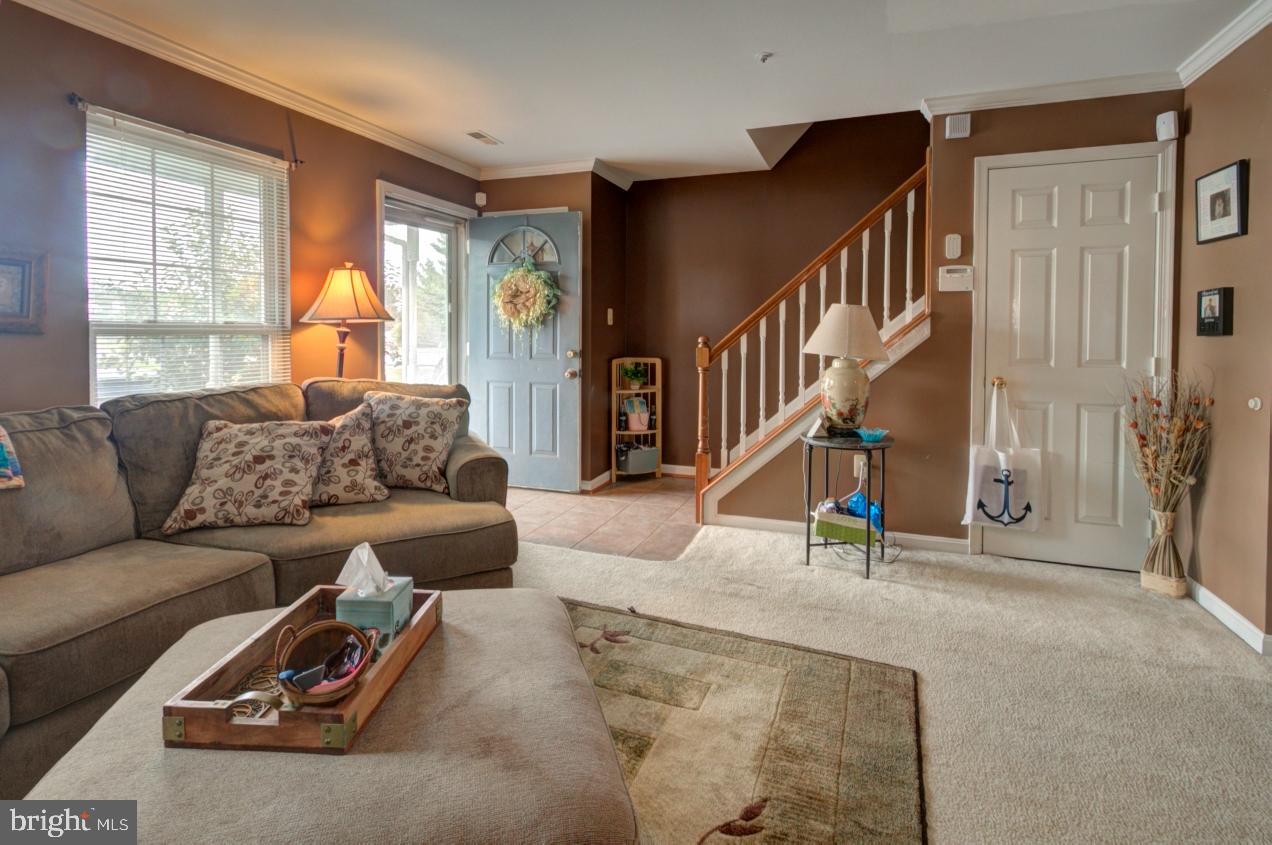 ACTON VILLAGE - Residential