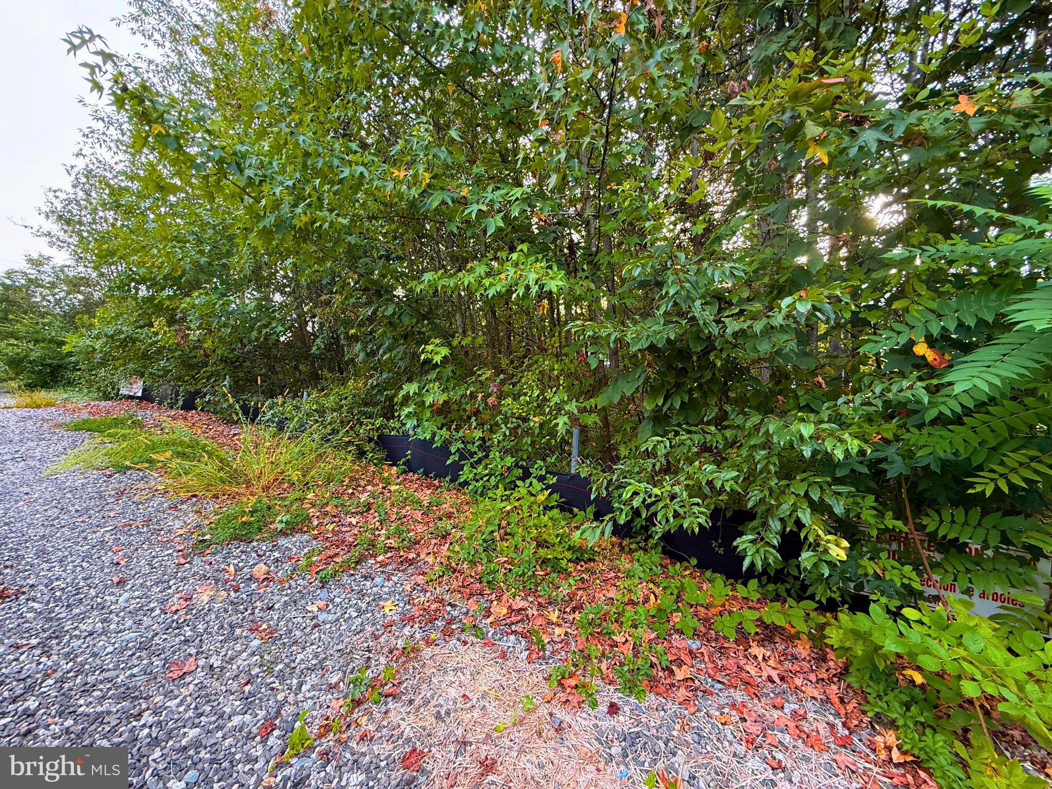 VAUGHN'S SUBDIVISION - Land