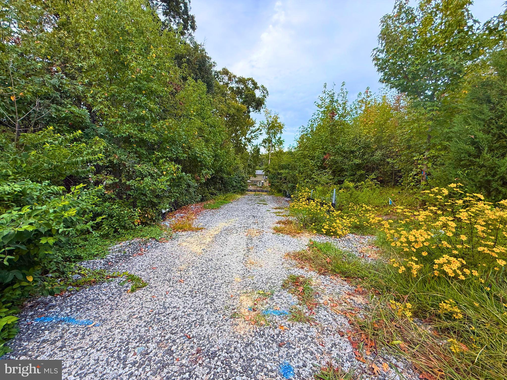 8811 OX ROAD