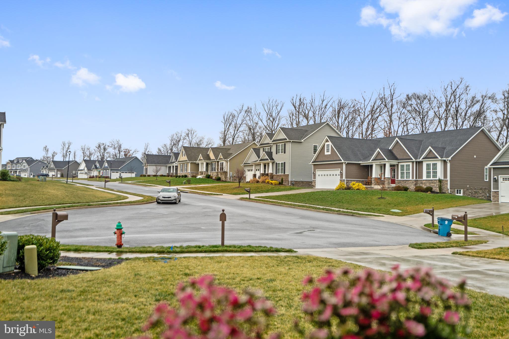 ABRAMS POINTE - Residential