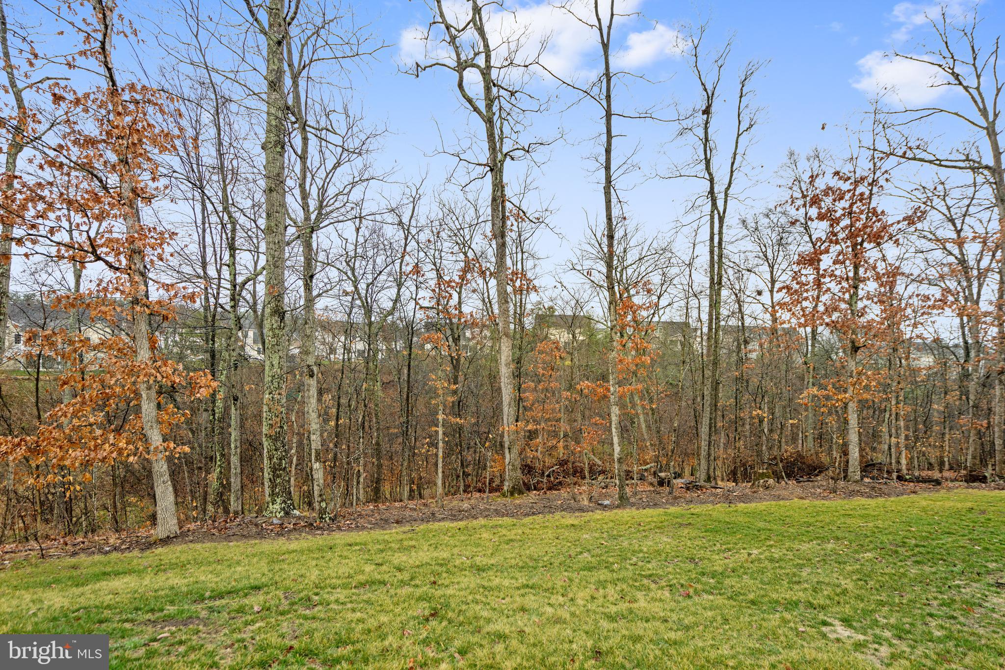 ABRAMS POINTE - Residential