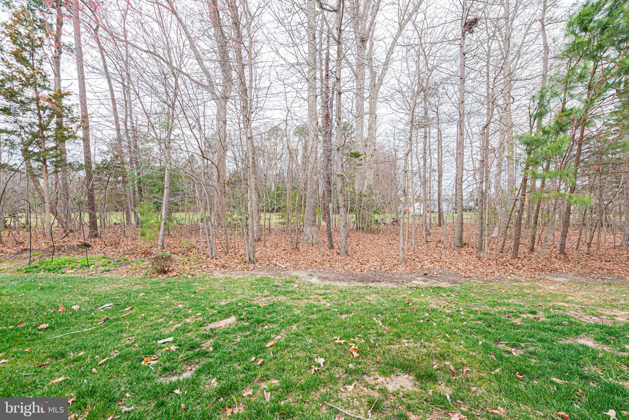 SHOREVIEW WOODS - Residential