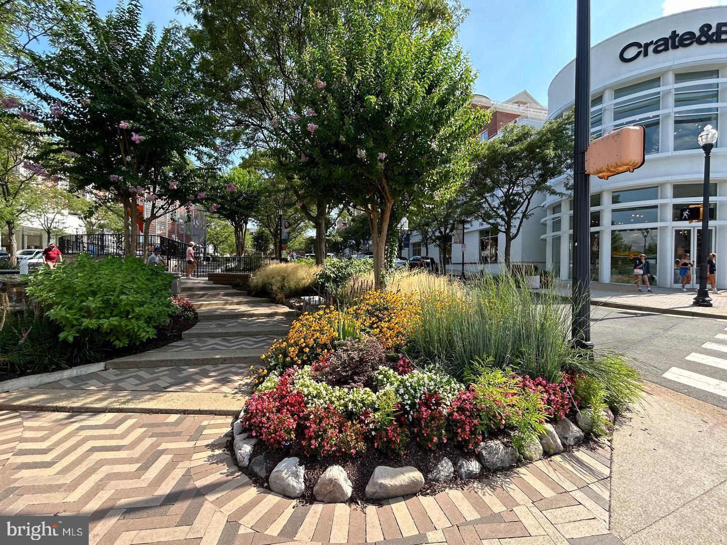 CLARENDON - Residential