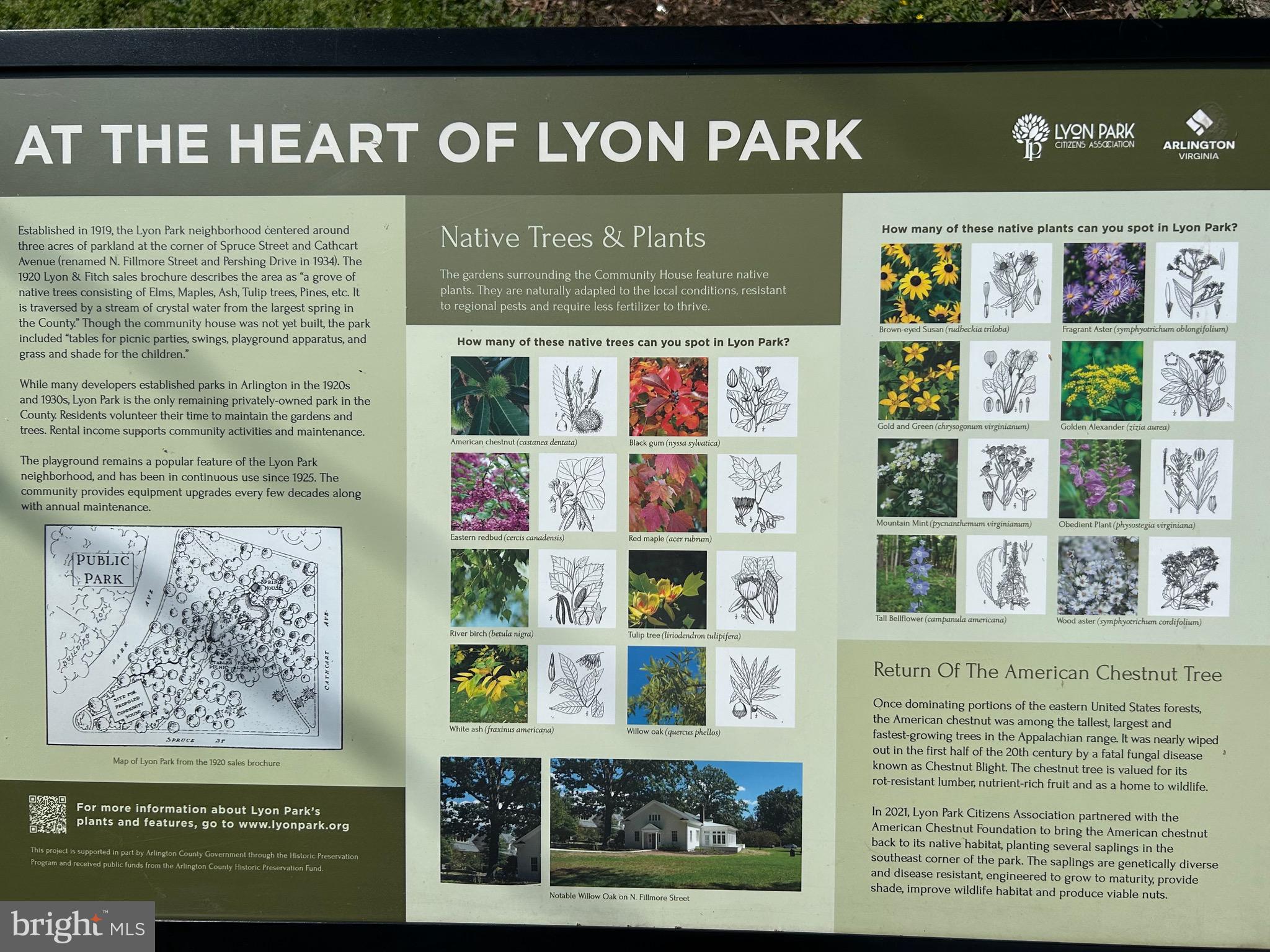 CLARENDON - Residential