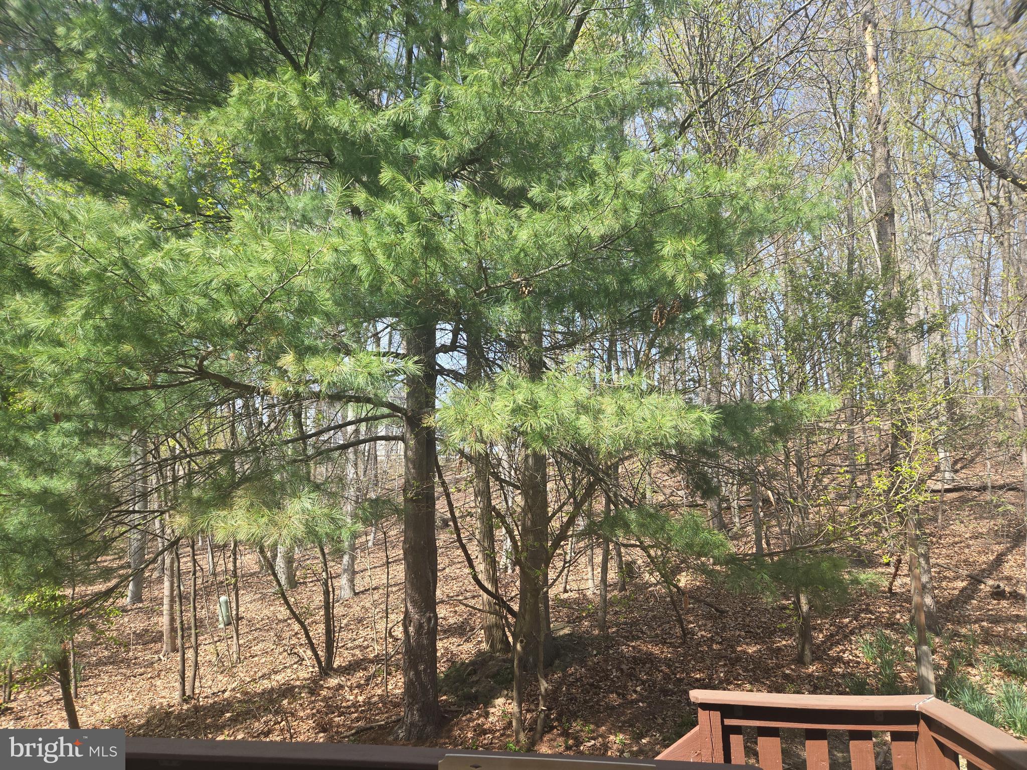 WOODLAND VILLAGE - Residential