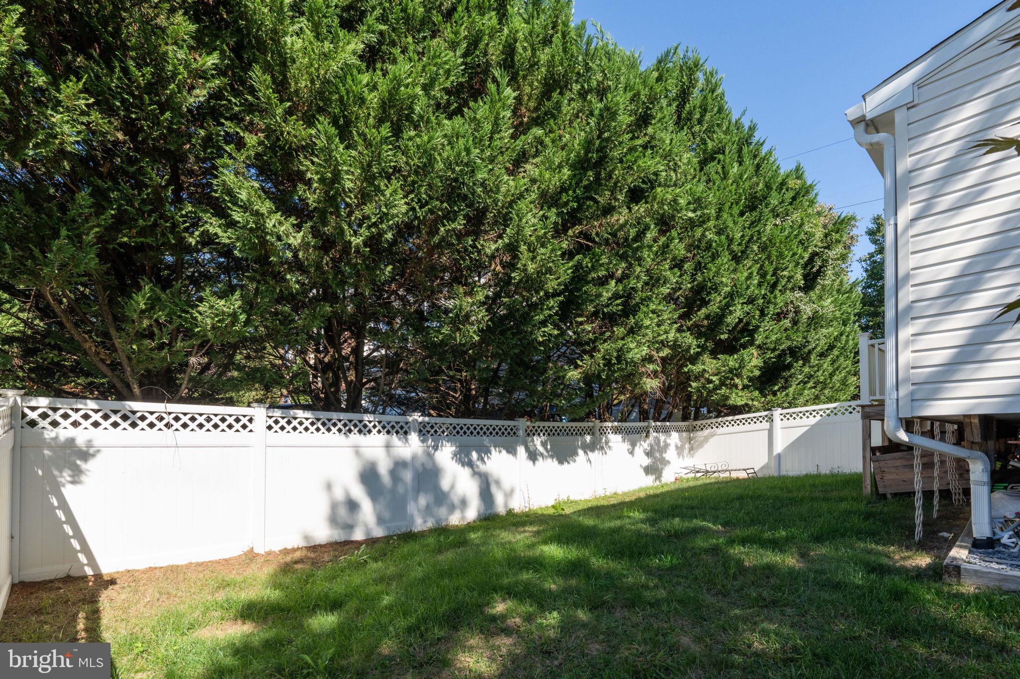 WILLIAMS KNOLL - Residential