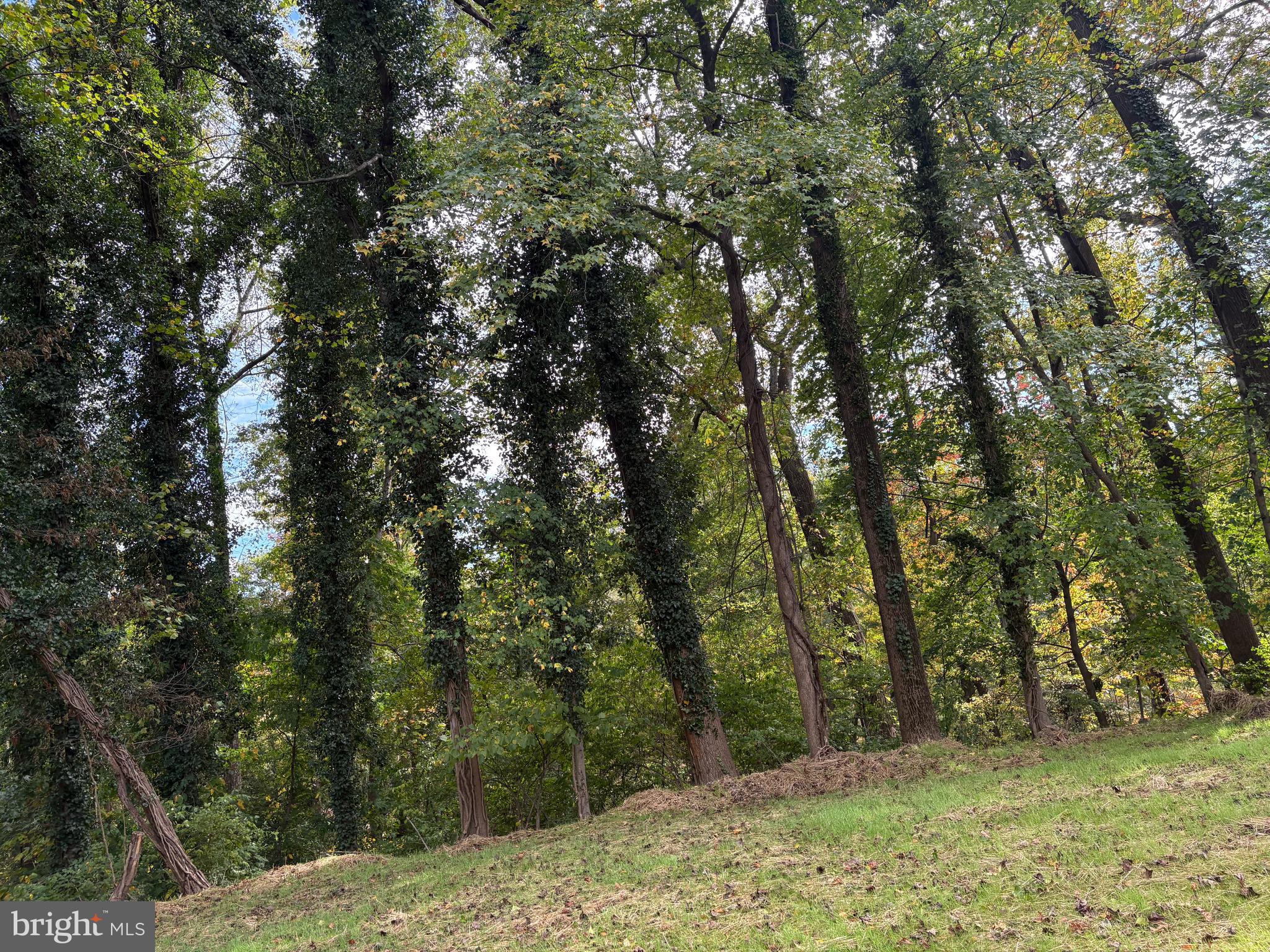 CHRIS MAR MANOR - Residential